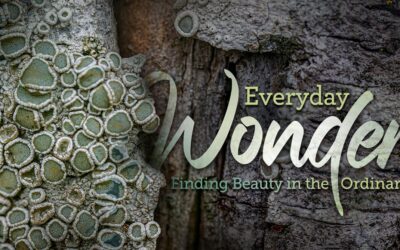 Brad Ruggles: Beauty in Broken Things